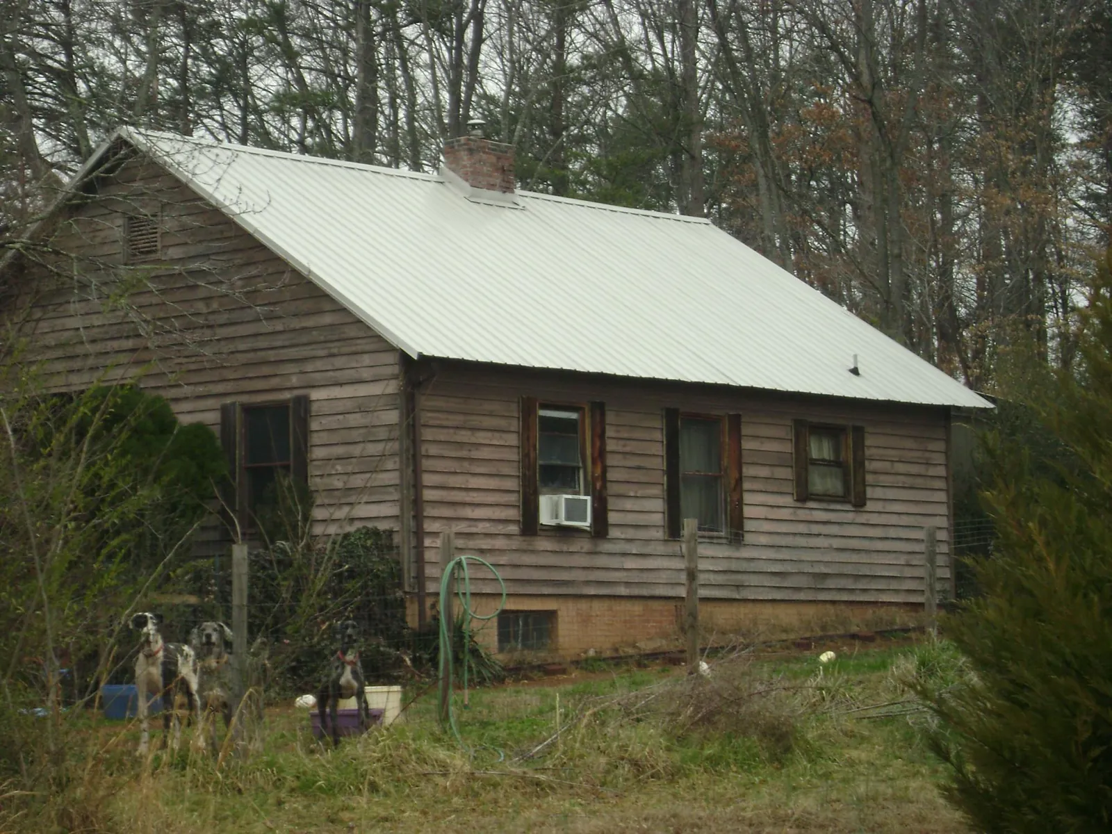 White metal roof on an old wood sided farmhouse, from a Asphalt Shingle Roof Repair job in Shutesbury